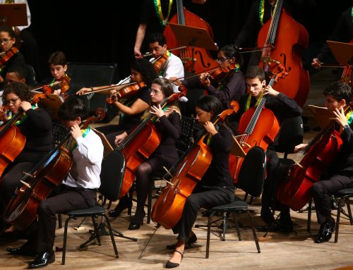 Bolsas para jovens Músicos. Inscrições