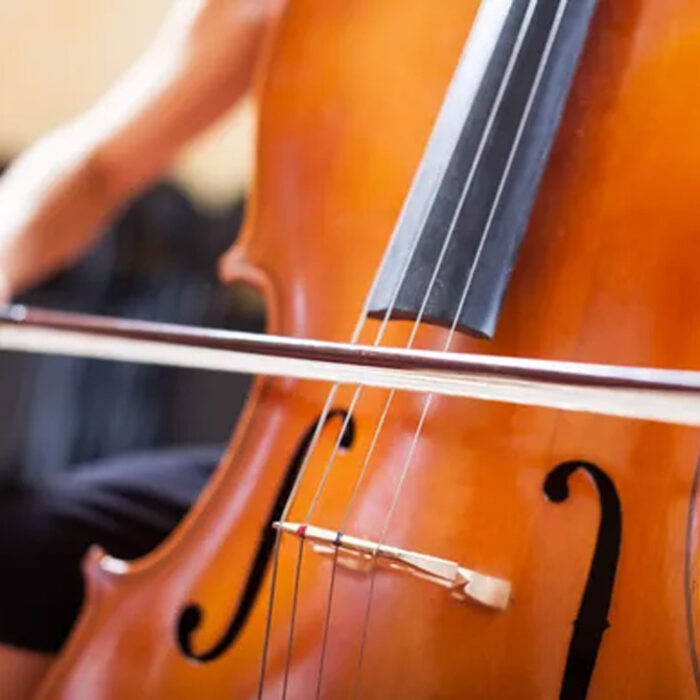 Violoncelo
